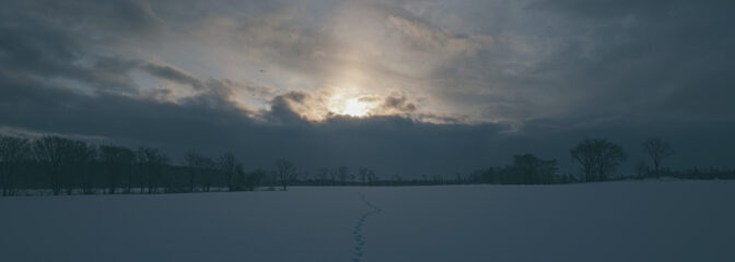 北海道加工食品コンクール奨励賞受賞